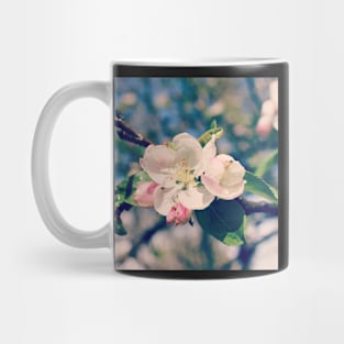 Apple Blossoms Mug